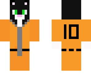 jail cat