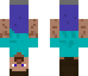 upsidedown steve