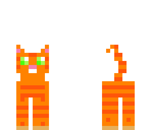 orange tabby cat