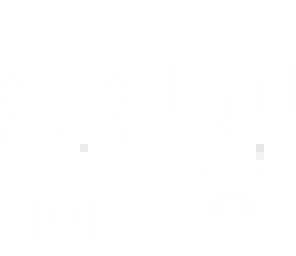 plane white