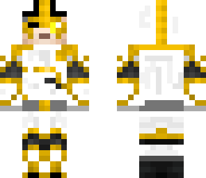 the paladin of order
