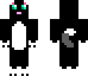 black cat