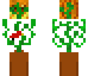 mutated plant