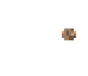 chocolate cookie