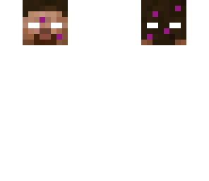 the beheaded herobrine
