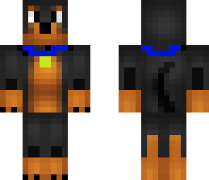 dog with blue collar