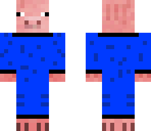 pig in a space suit