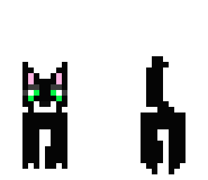 hollypaw