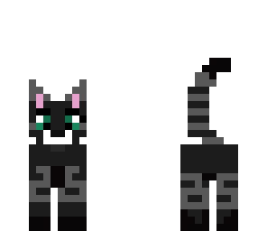 black cat