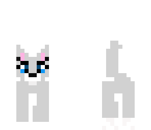 cat 3
