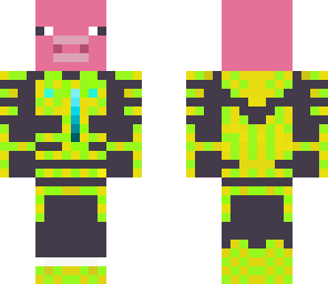 pig space 