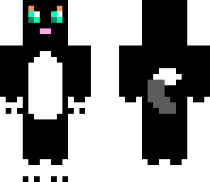 black cat