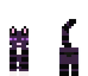 kitty
