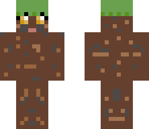 dirt disguise