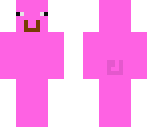 pig