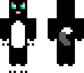litte black cat