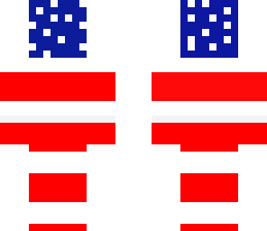 the american flag