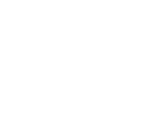 fdsd