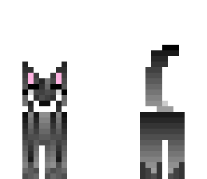 cat 2