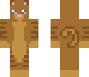 brown kitty cat