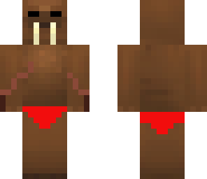 bikini walrus