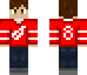 detroit redwings fan