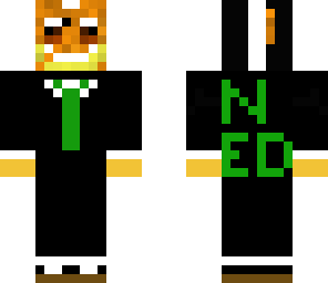 ned files