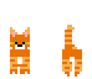 kitty