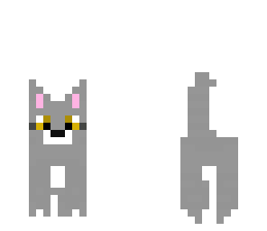 kitty