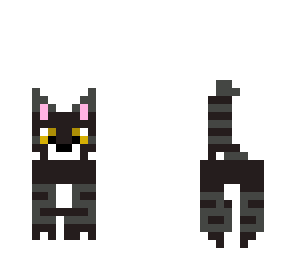 black kitty cat