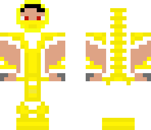 the ninja of order