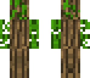 arbol
