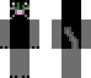 kitty cat -animal pack-