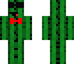 mr cactus