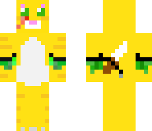 assasin cat