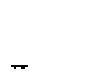 ant