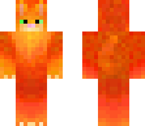 ginger cat