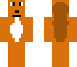 squirrel