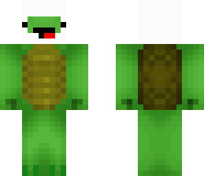 finn the turtle