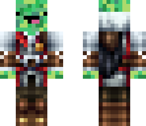 turtle assassin