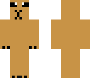 guinea pig