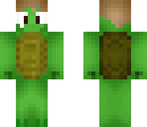 turtle colin