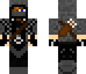 the new assassin