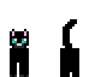 black cat