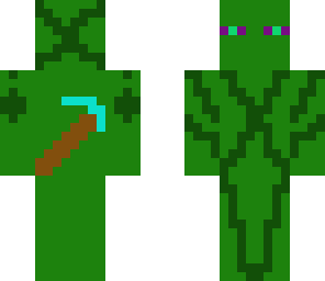 raaber jungle