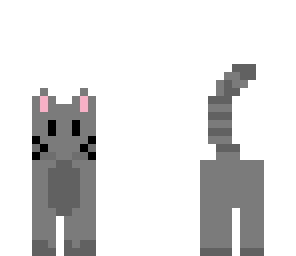 kitty