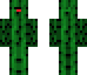 derpy cactus fixed
