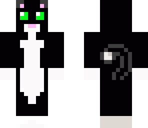 cat ima kitty cat and a meow meow meow
