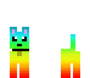 rainbow dog