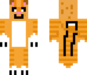 tabby cat standing fixed